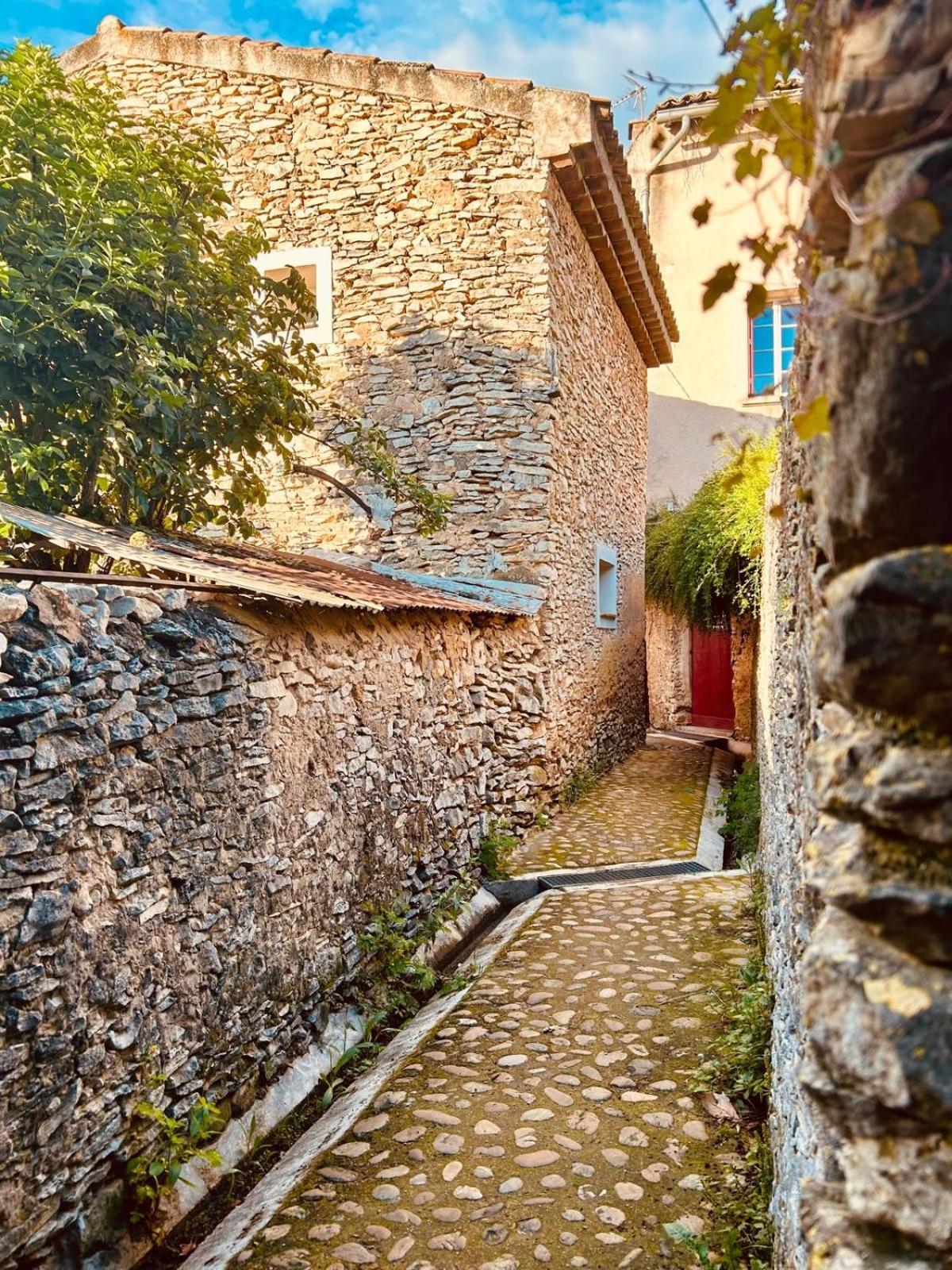 La Sarrasine Hotel Villes-sur-Auzon Kültér fotó